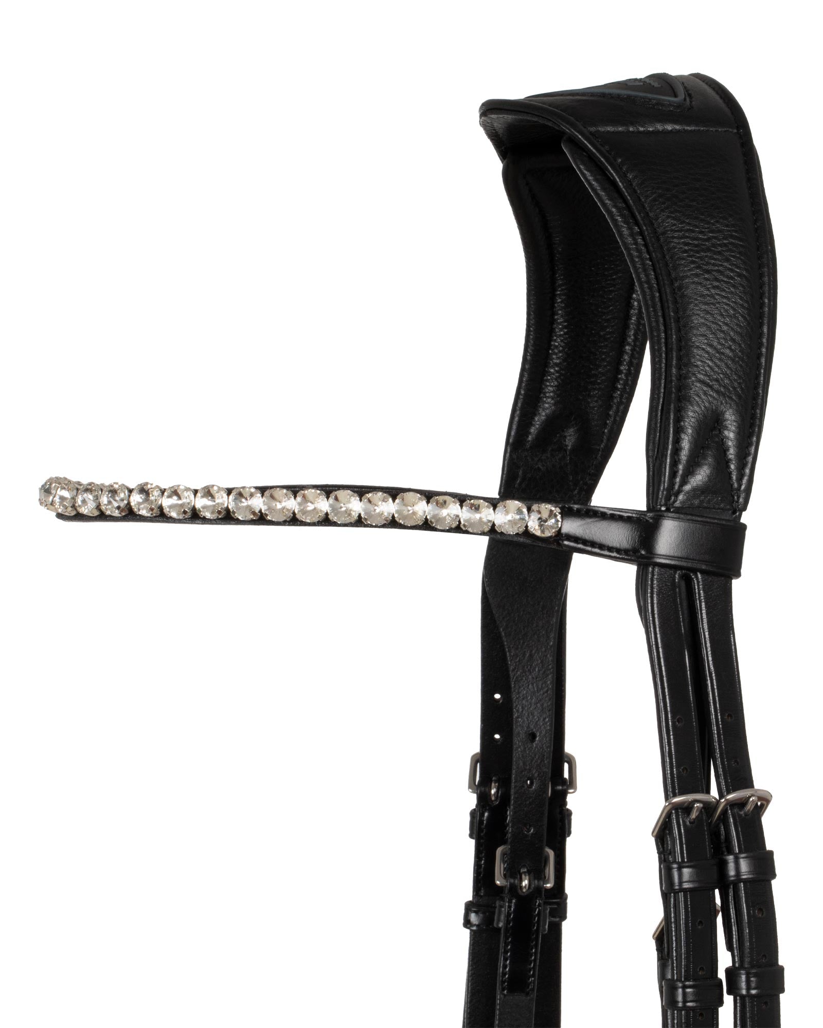 Acavallo Starry Night Calfskin Bridle Black