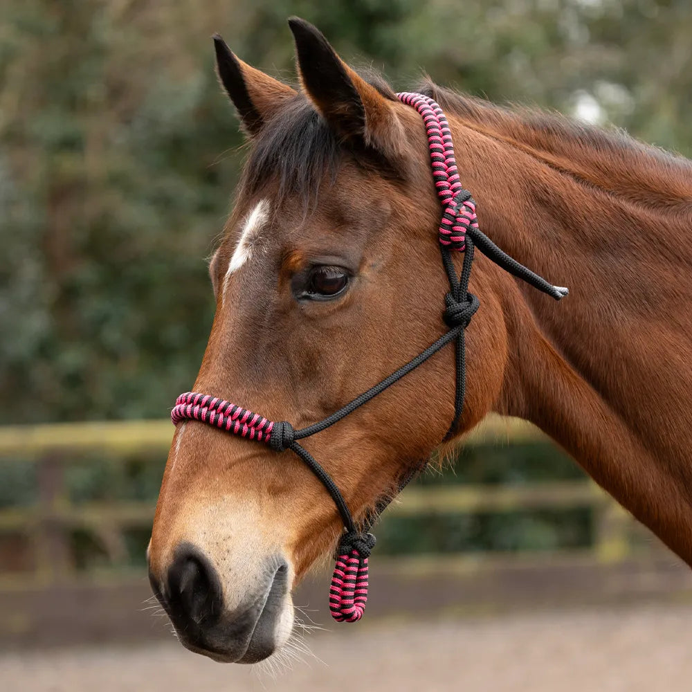 Hy Equestrian Double Braid Rope Halter - Pink
