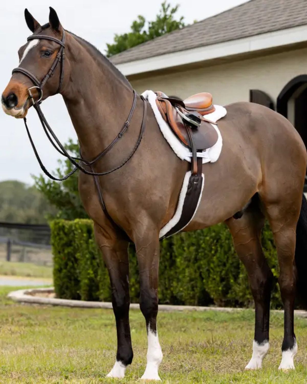 LeMieux Merino+ Hunter Saddle Pad White/White