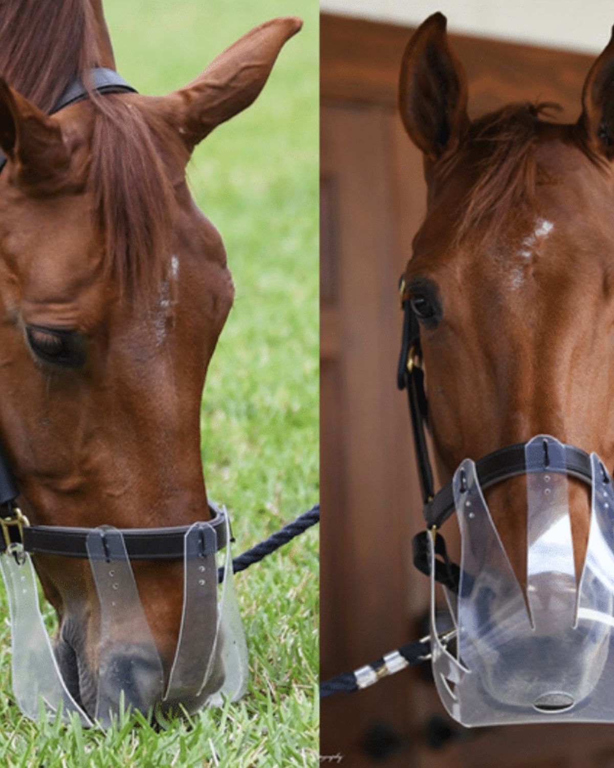 Thinline Flexible Filly Grazing Muzzle for Horses | Prevents Overgrazing, Safe & Comfortable
