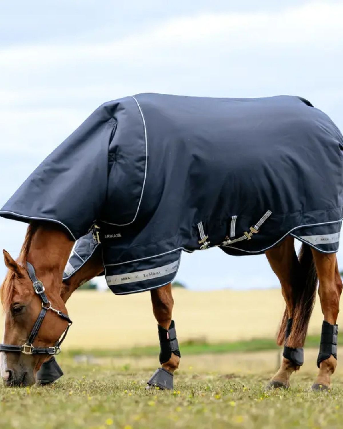 LeMieux Arika Storm - Tek Rug 100g Navy | Equiflair