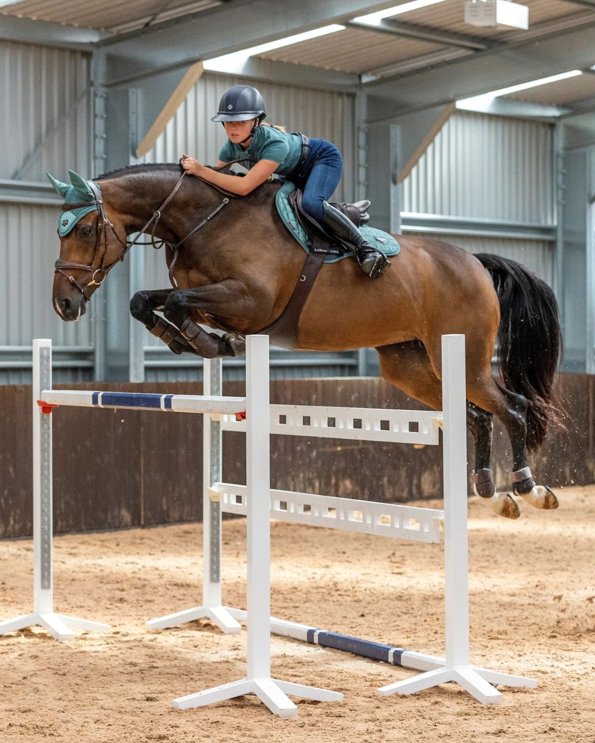 Equestrian Action: Horse Jumping with LeMieux Loire Sage Saddle Pad from Equiflair. Close Contact Square Style. #horsejumping #equestrian