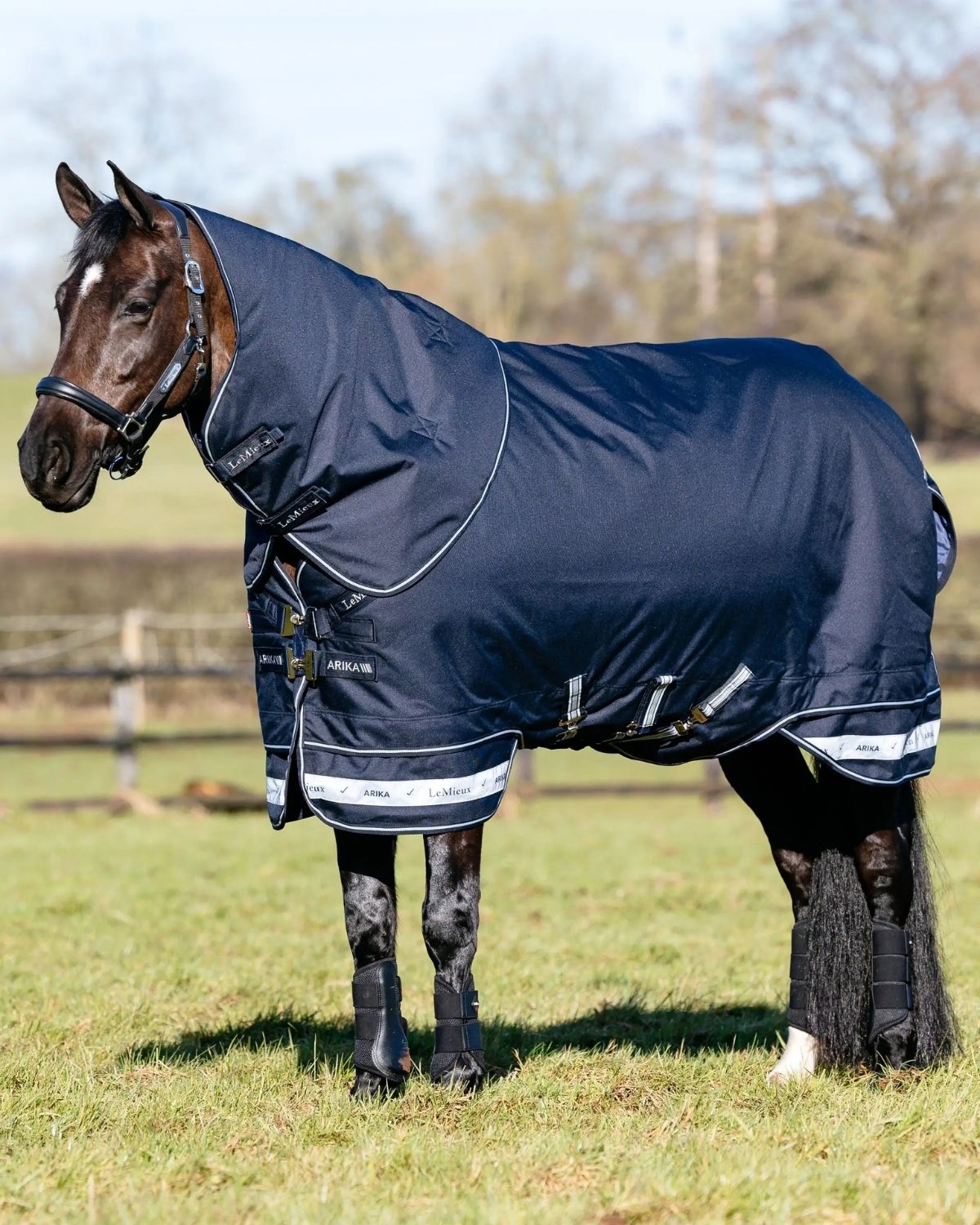 LeMieux Arika Storm - Tek Rug 50g Navy | Equiflair