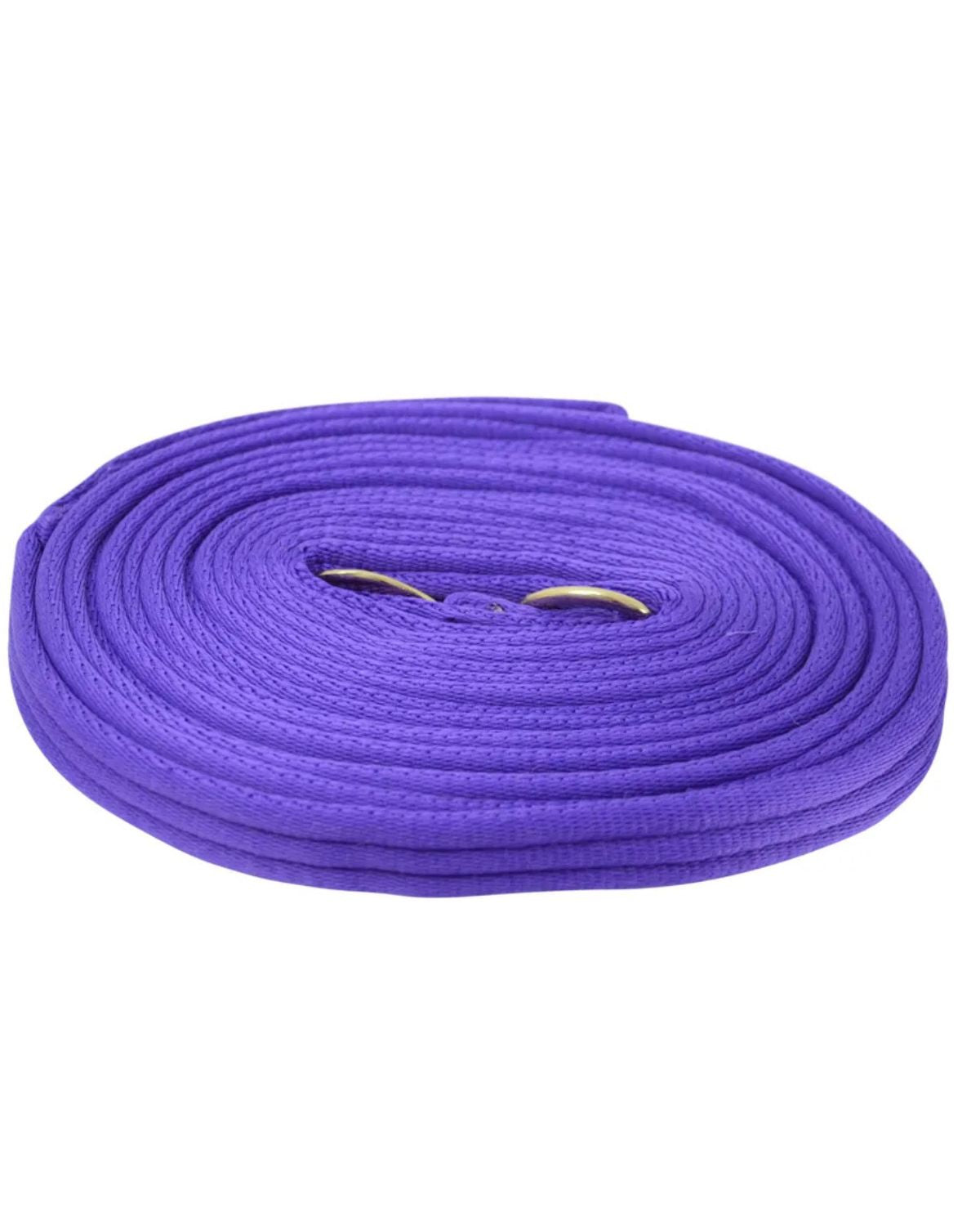 Hy Equestrian Soft Webbing Lunge Rein Purple