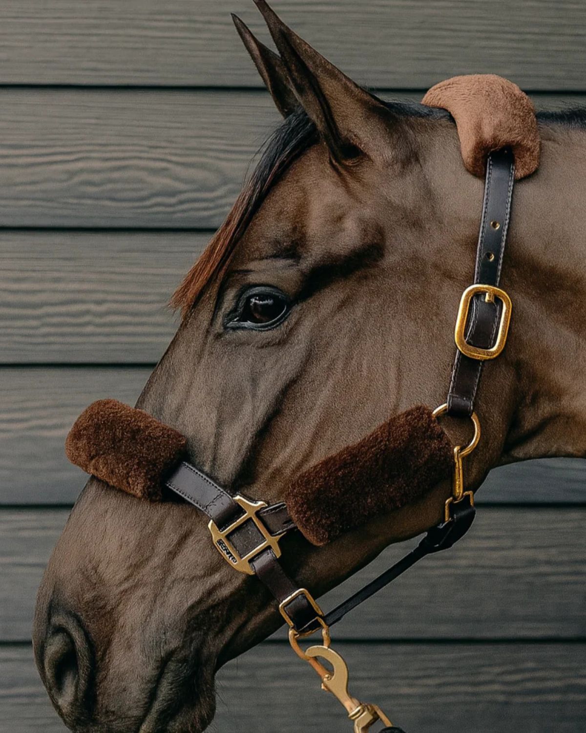 KM Elite Teddy Fleece Horse Headstall Set Mocha - Equiflair Padded Comfort