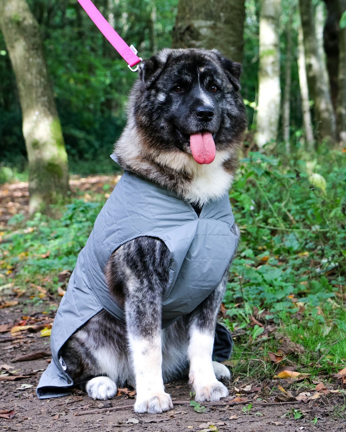 Ancol Ultimate Reflective Dog Coat