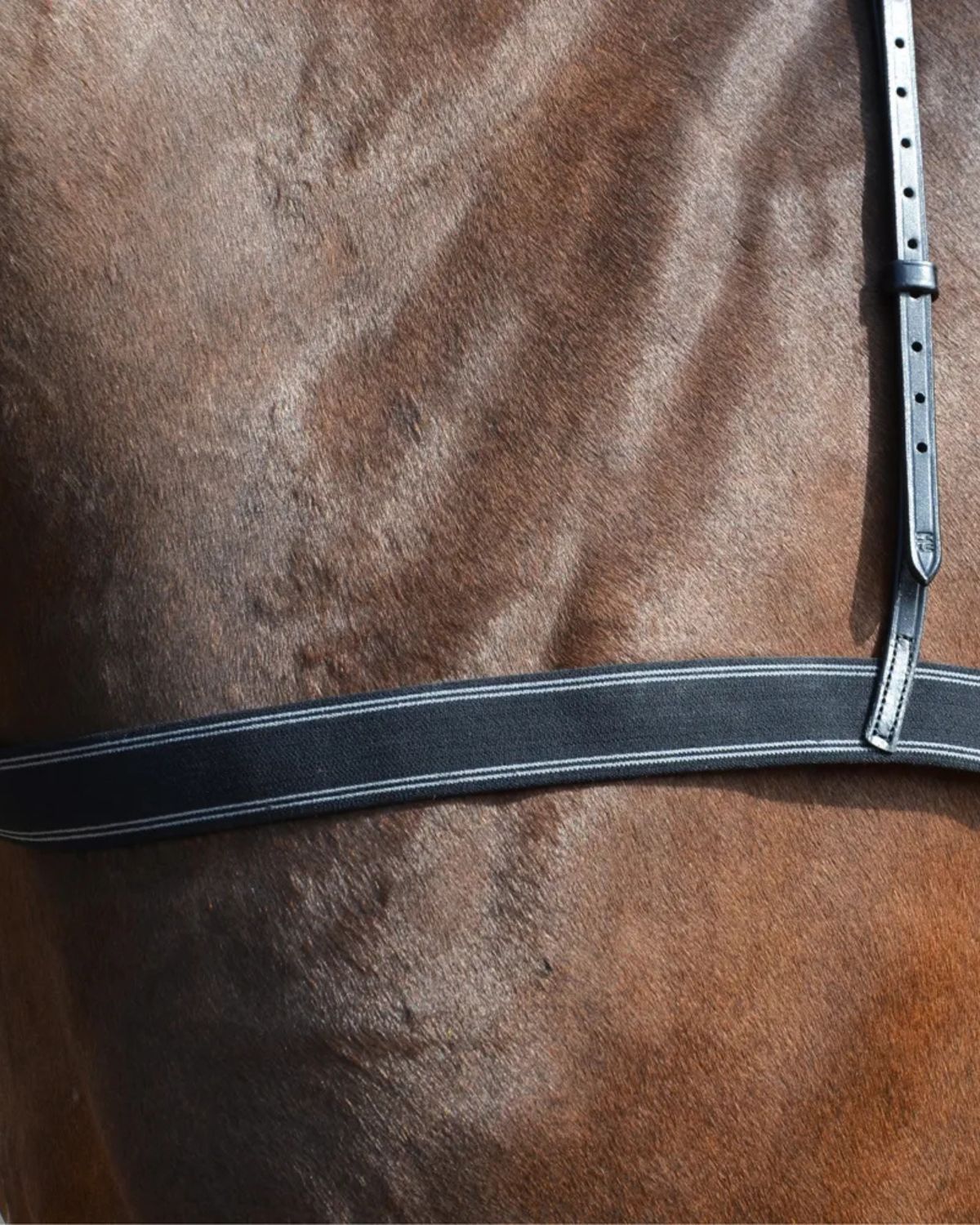 Hy Equestrian Elastic Breastgirth Black