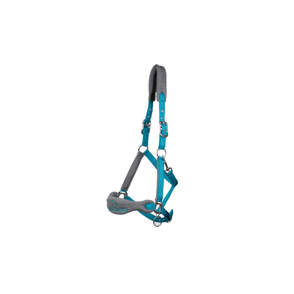 Equiflair Teal & Grey Horse Headcollar with Padded Nose and Headpiece