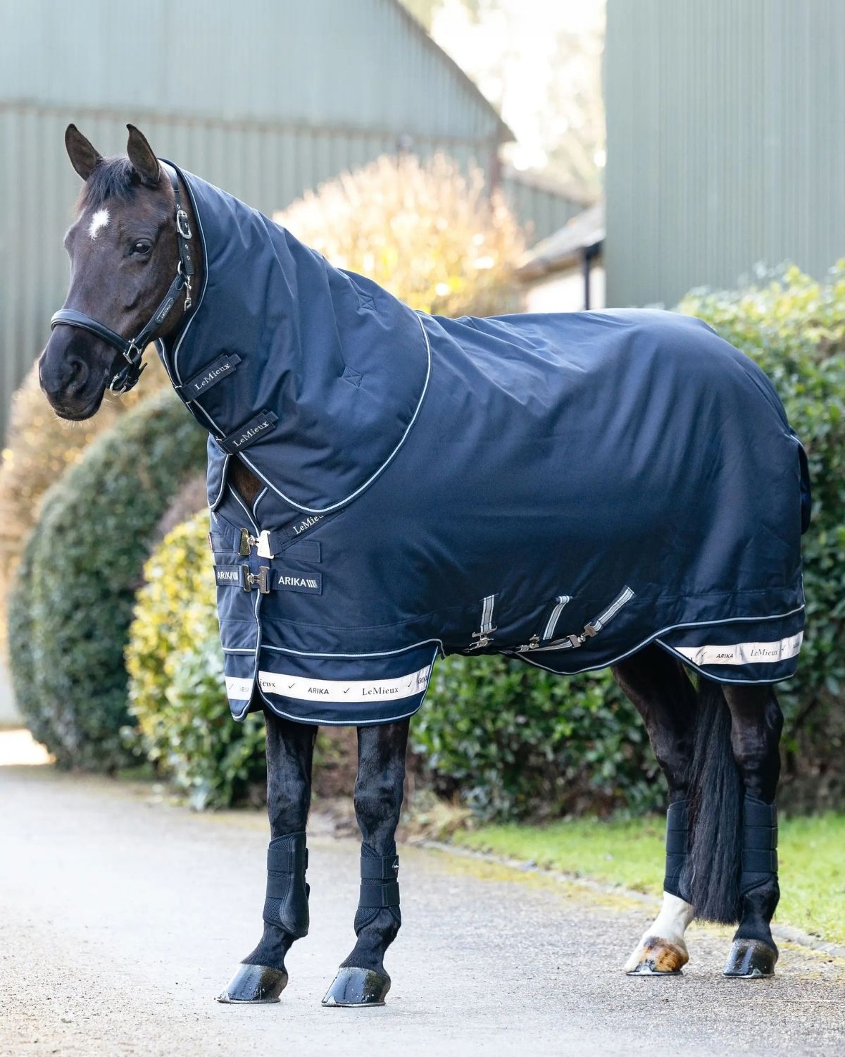 LeMieux Arika Storm - Tek Rug 200g Navy | Equiflair