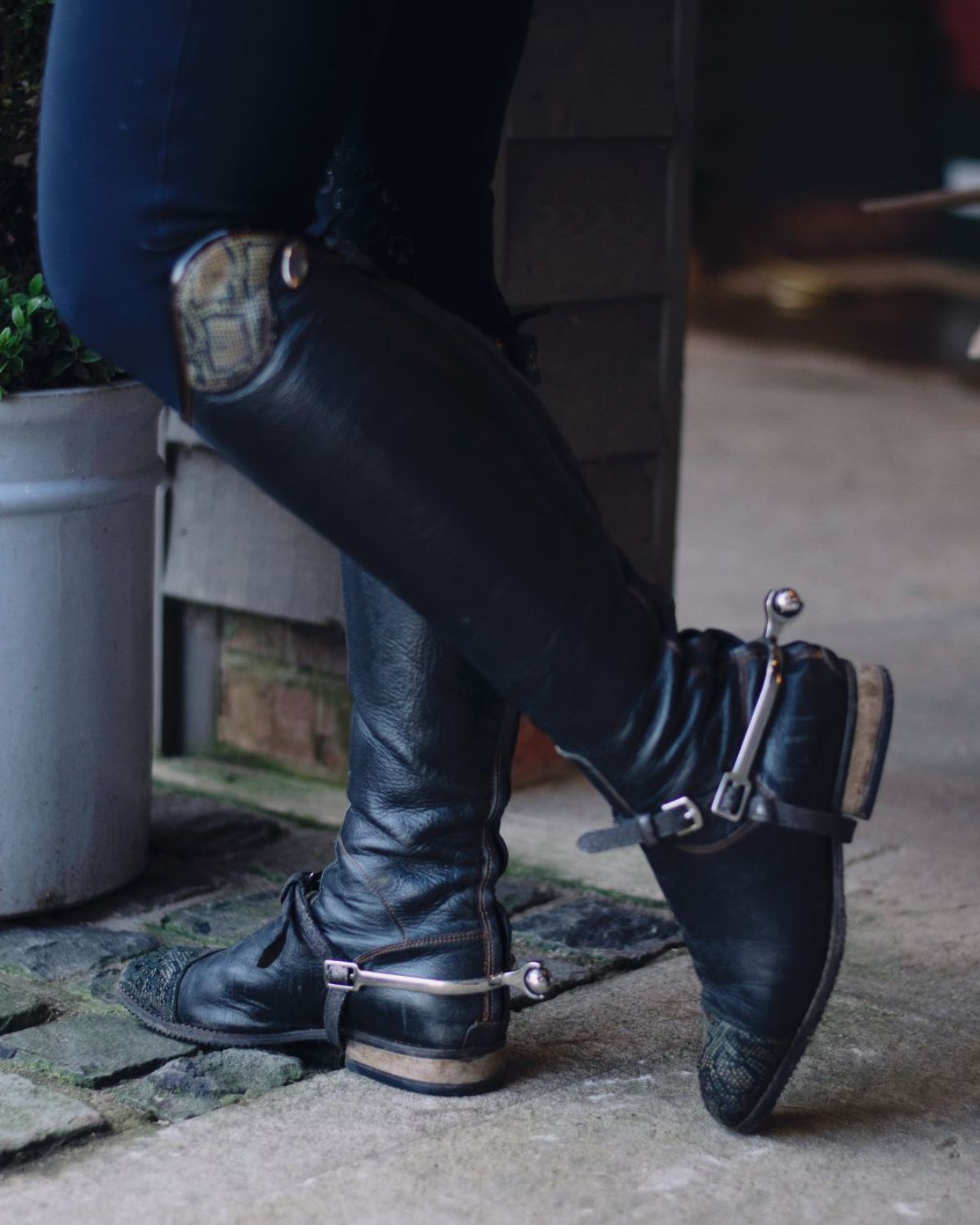 KM Elite Stainless Rollerball Spurs