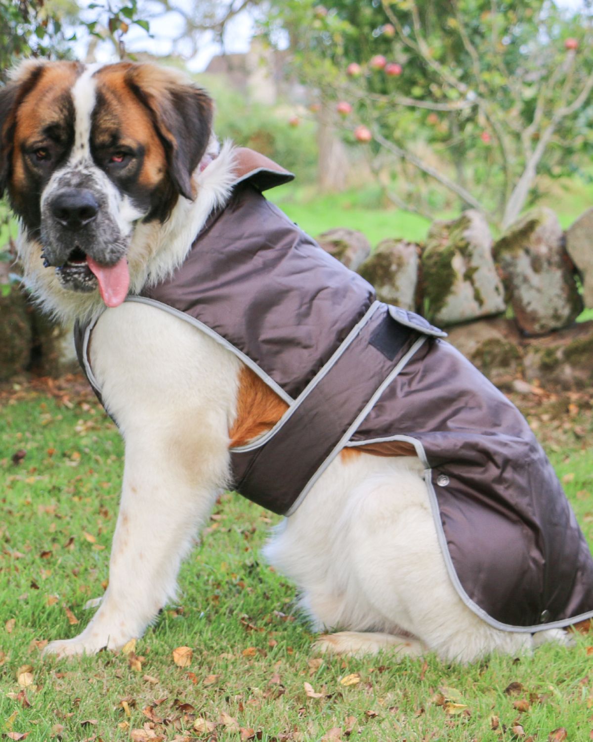 Ancol Stormguard Dog Coat Chocolate