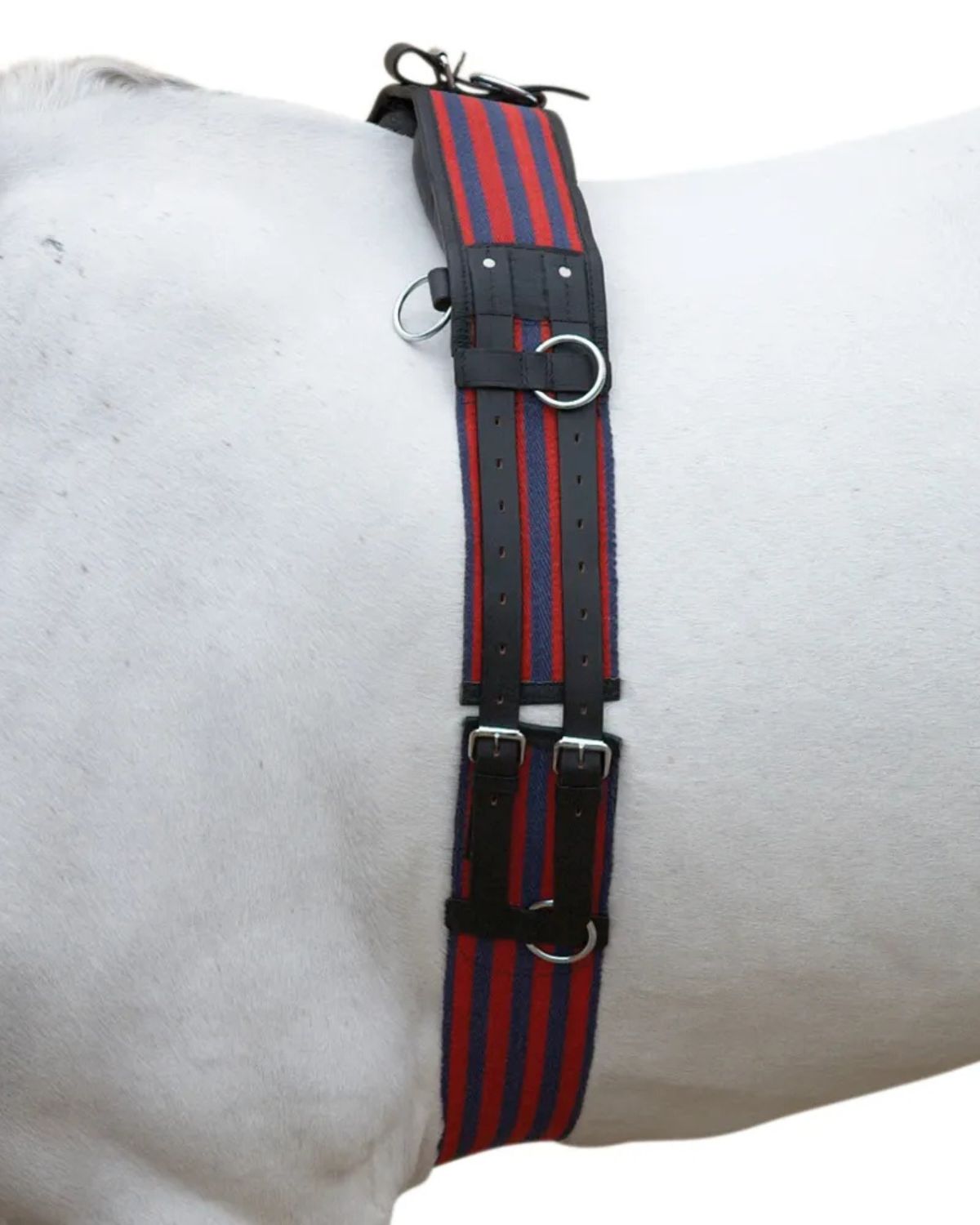 Hy Equestrian Training Roller Blue/Red