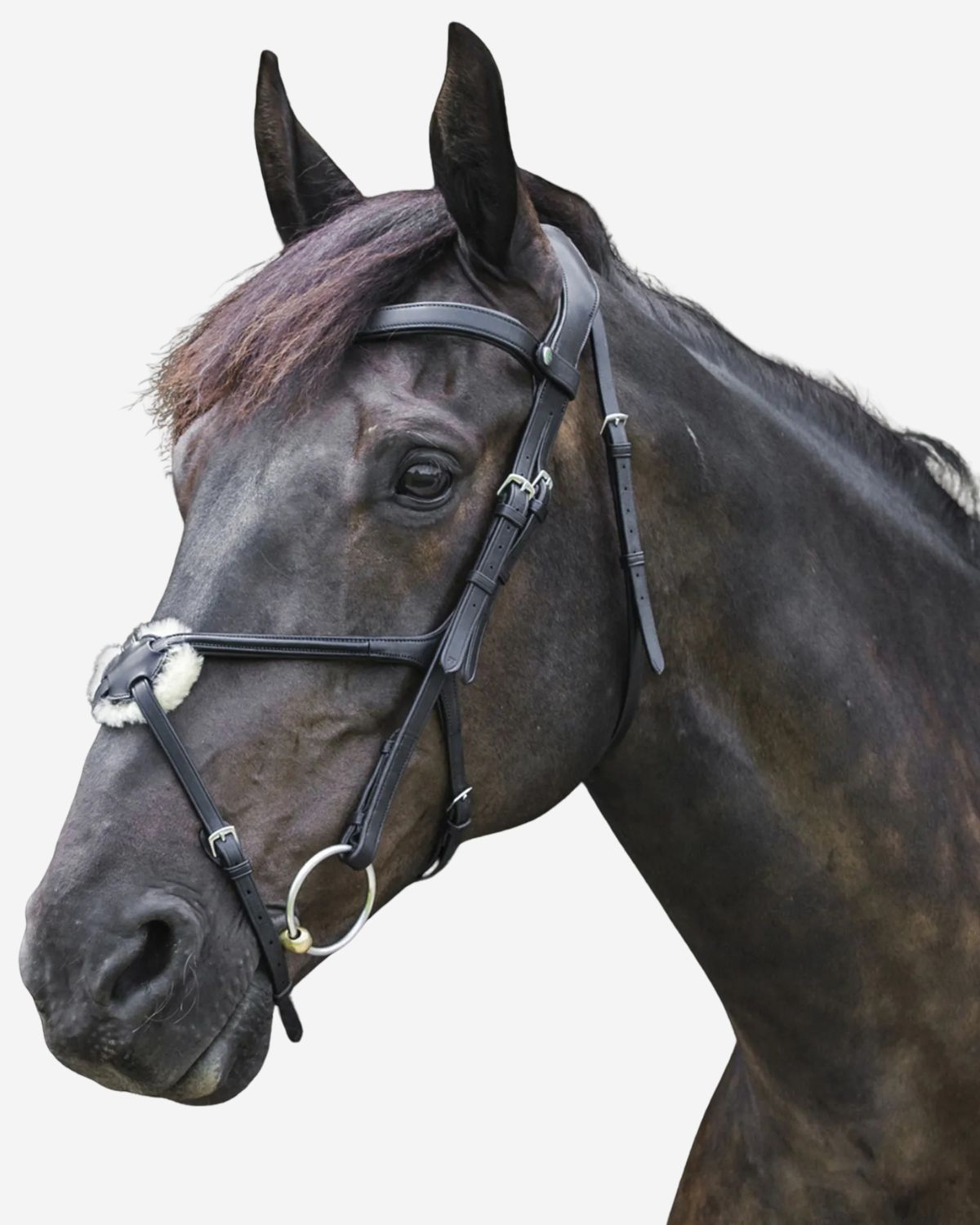 Ecorider Freedom Grackle Noseband