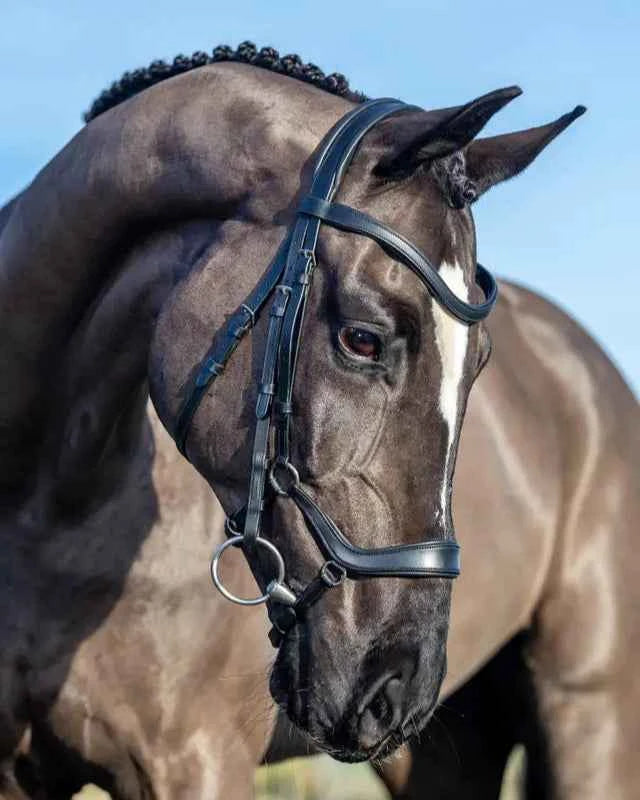 LeMieux Arika Drop Bridle Black/Silver