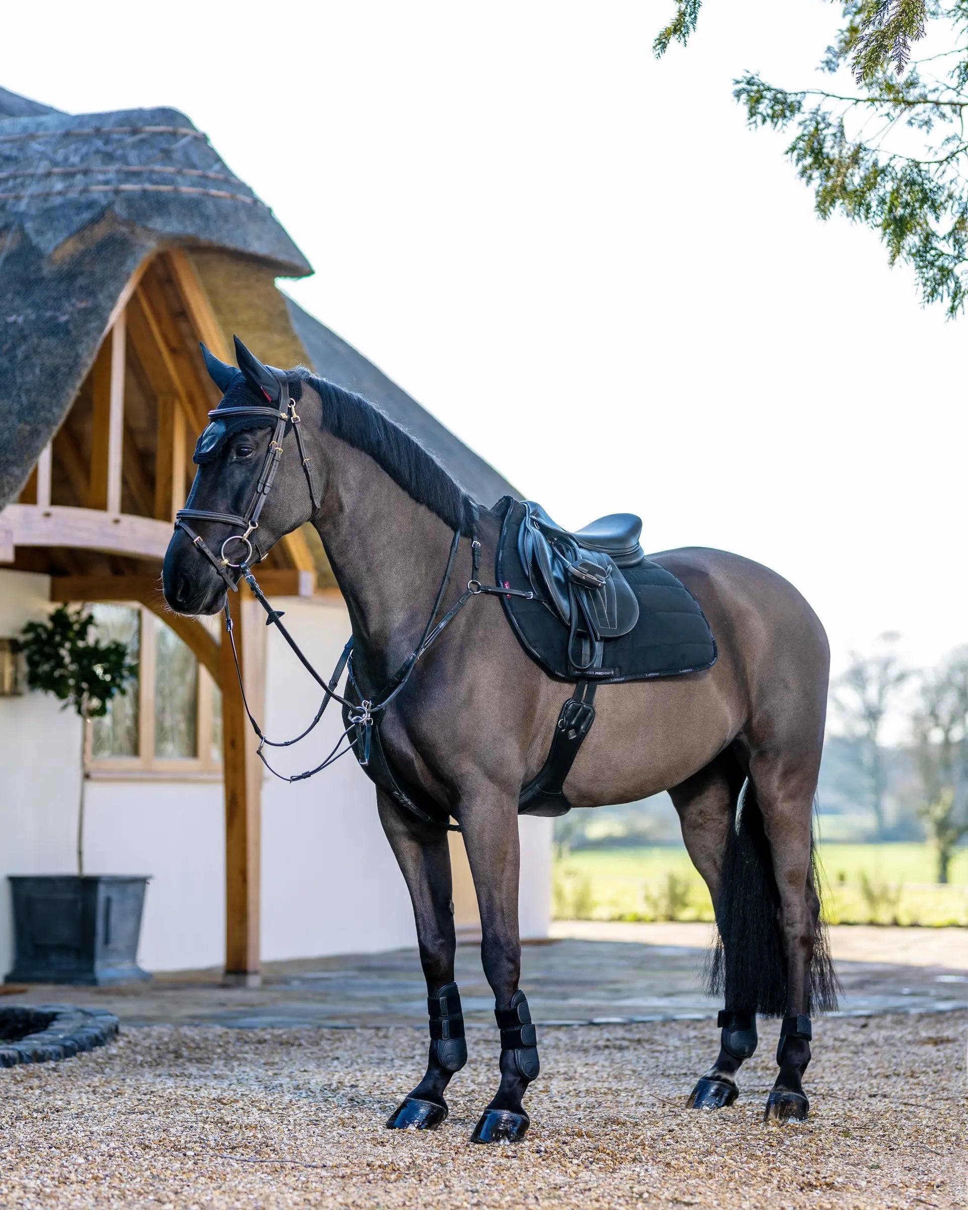 LeMieux GP Work Pad Black on a Horse | Equestrian Saddle Pad | Equiflair