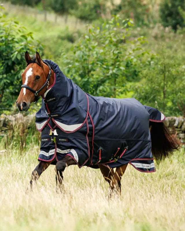 LeMieux Kudos Thermo Layer Turnout Rug 300g Navy: Waterproof horse rug with detachable neck. Equiflair