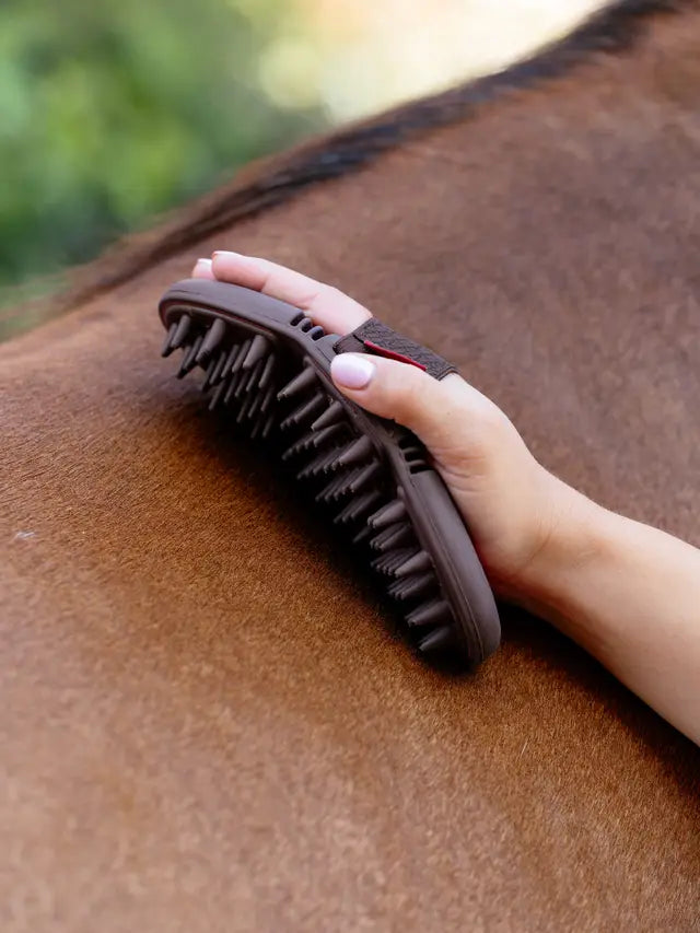 LeMieux Flexi Massage Brush in Cranberry being used on a horse. Equiflair Product.