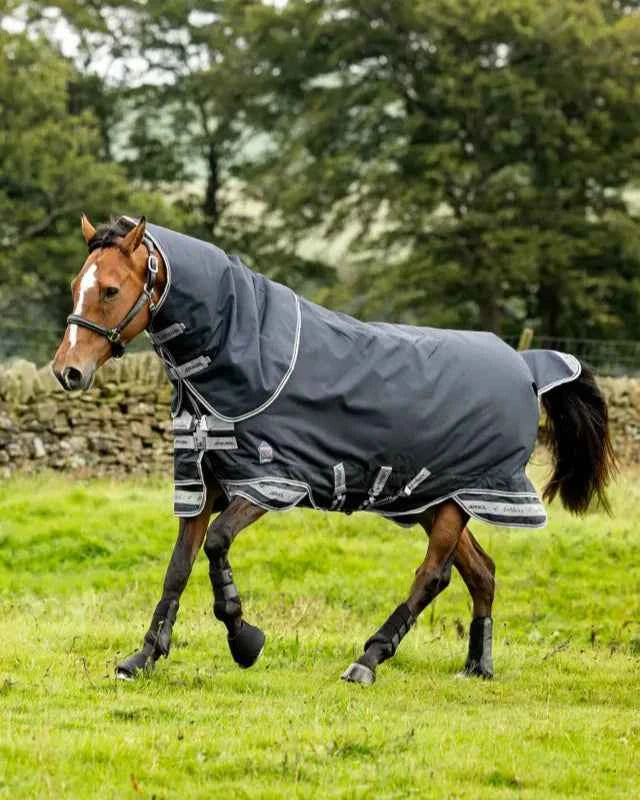 LeMieux Arika Storm-Tek Rug 350g Navy - Old Season Style