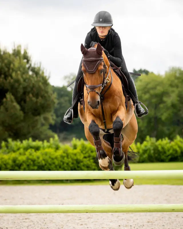 Equestrian Elegance: Horse Jumping with Lemieux Crystal Fly Hood. Rider in Black, Brown Horse with Stylish Equestrian Equipment