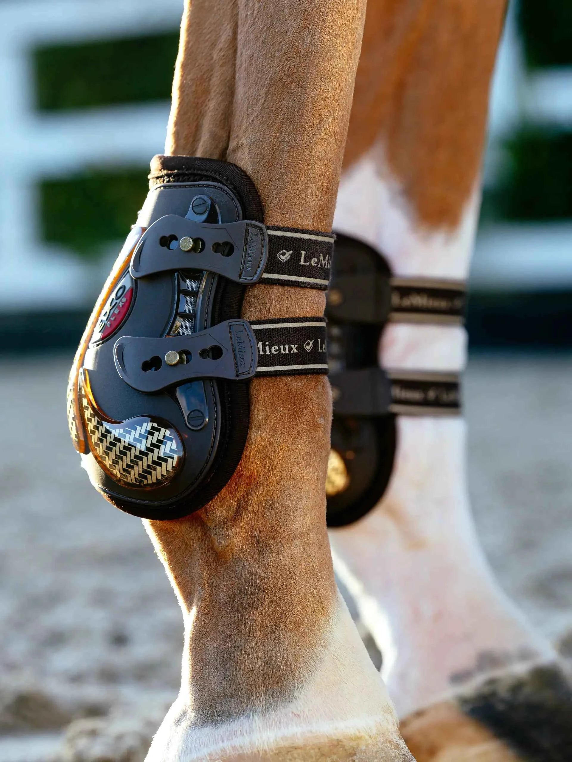LeMieux LeMieux Exo-Flex® Fetlock Spare Strap Set Black