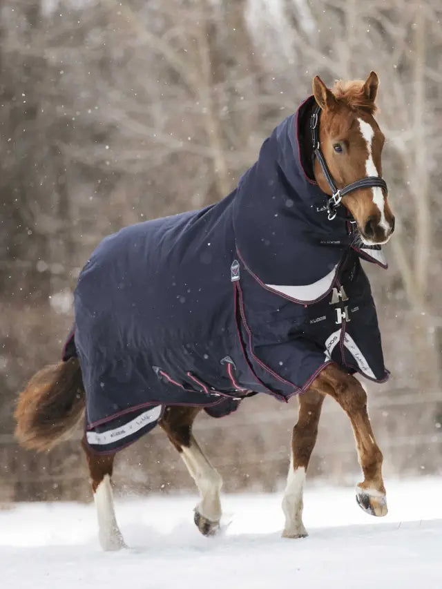 Horse wearing LEMIEUX KUDOS Turnout Neck Cover 200g Navy in snow. Horse rug, neck cover, equestrian apparel. Equiflair product photo.