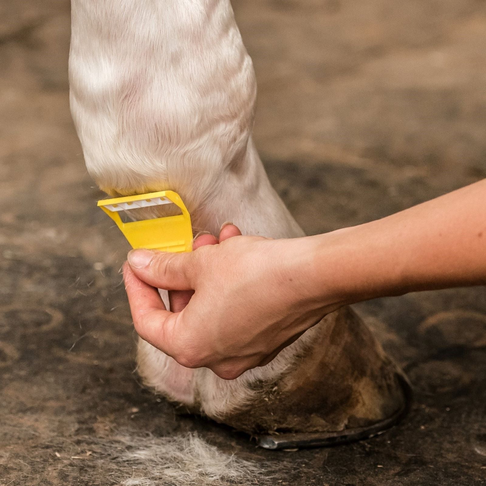 Horse Leg Grooming with Smart Grooming Equishave: Easy Mane & Hair Removal Tool, Equiflair