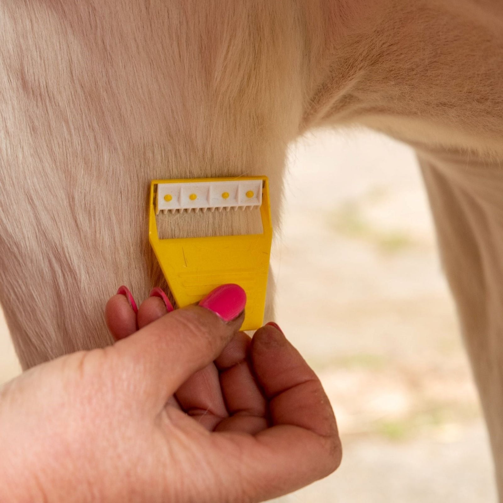 Horse Grooming Equi-Shave: Smart Grooming tool for face, ears & legs trimming. Safe & Easy Grooming by Equiflair