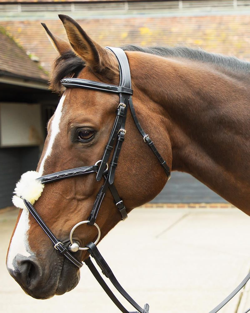 KM Elite Leather Grackle Bridle Havana