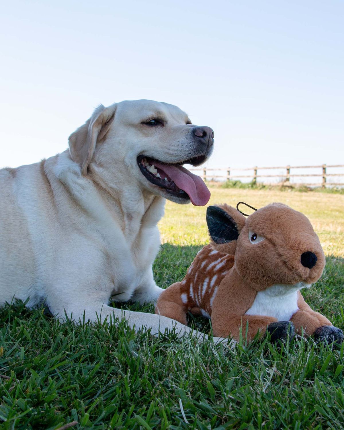 Ancol Heritage Delilah Deer Dog Toy