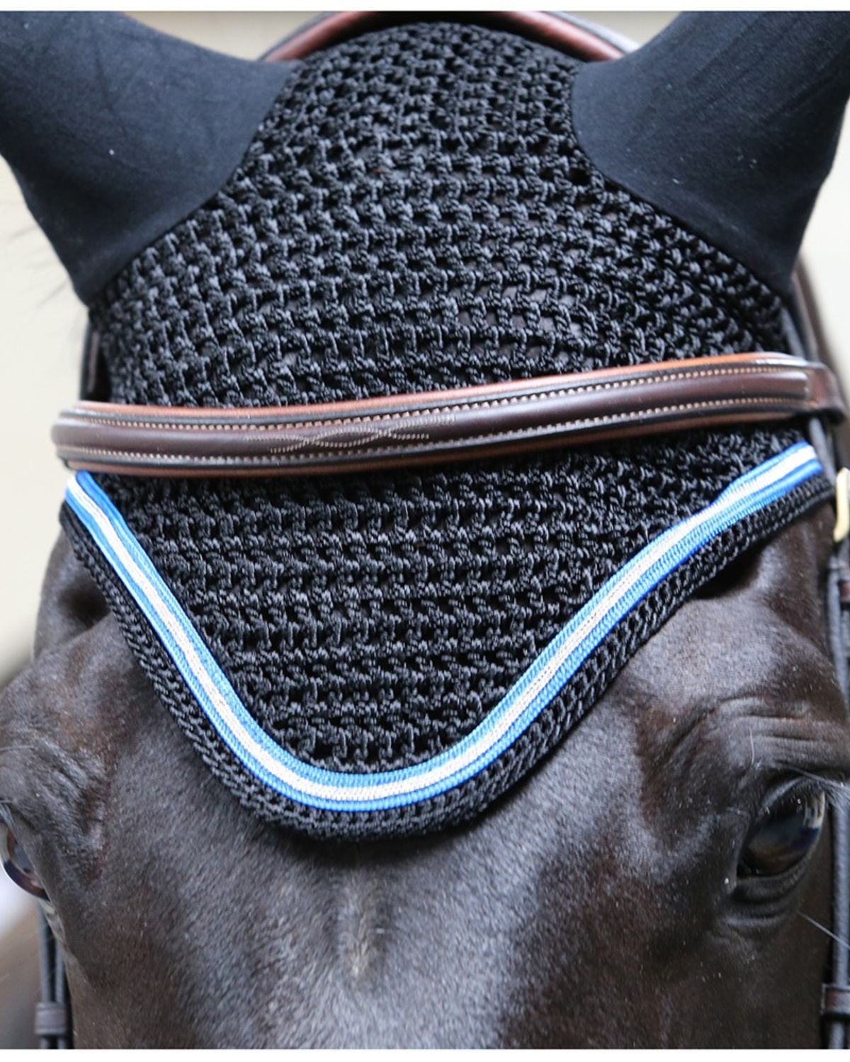 Black horse fly veil with grey trim, ear protection, equestrian equipment. Close-up of horse wearing fly mask.