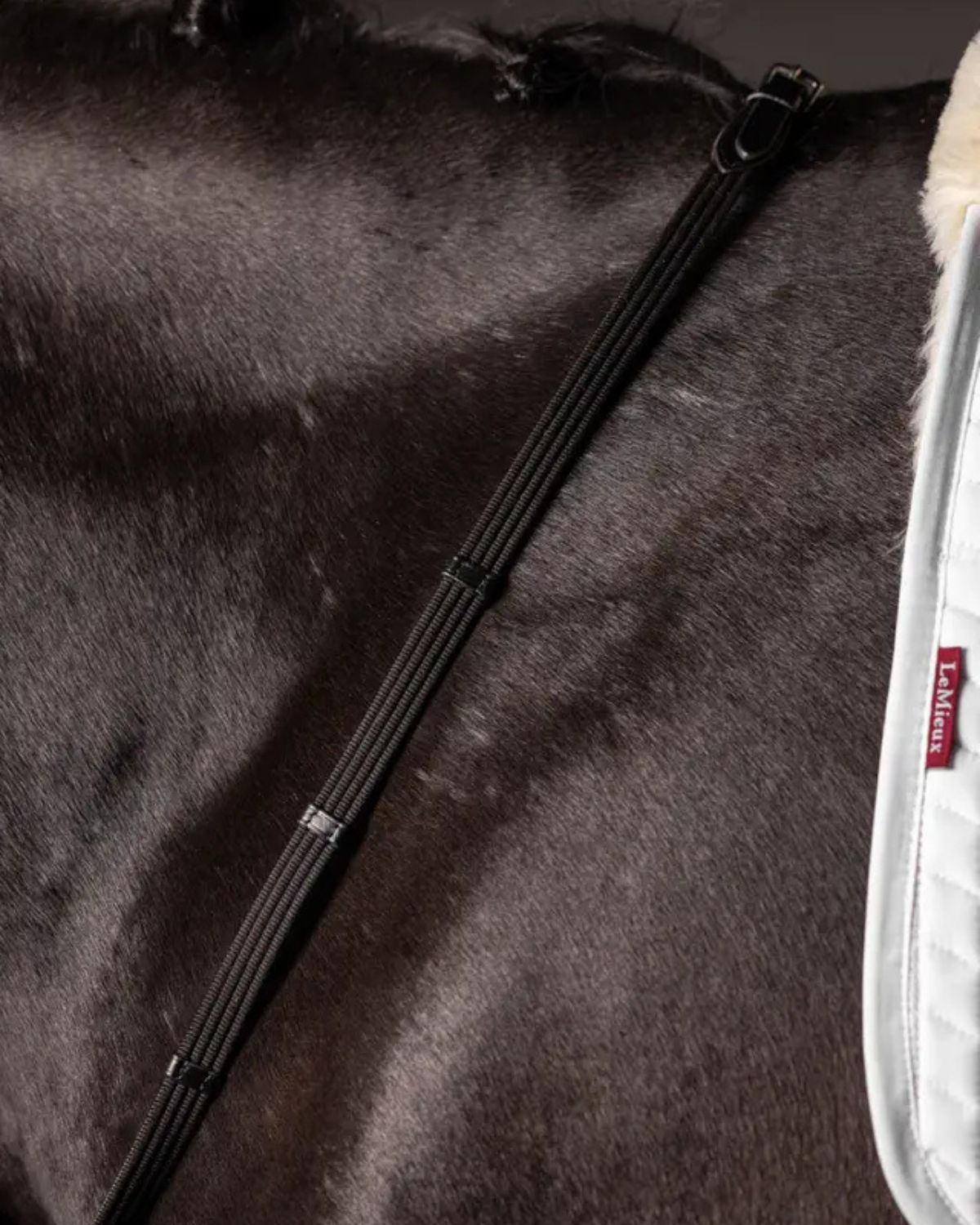 LeMieux Webbed Continental Reins Black/Silver