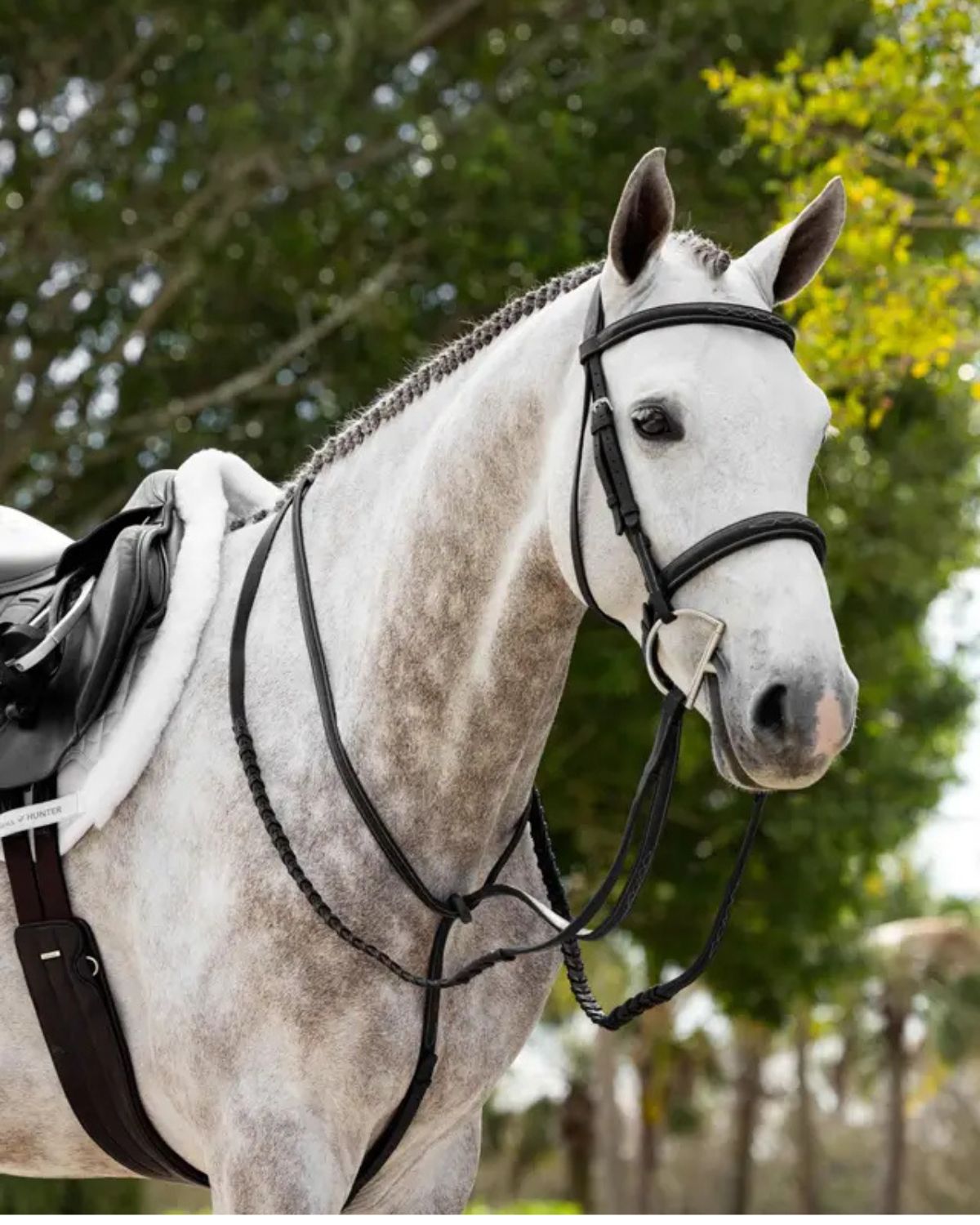 Lemieux Hunter Laced Reins - Black/Silver Stitching. Premium Oiled Leather Horse Reins for Hunter Class - Equiflair