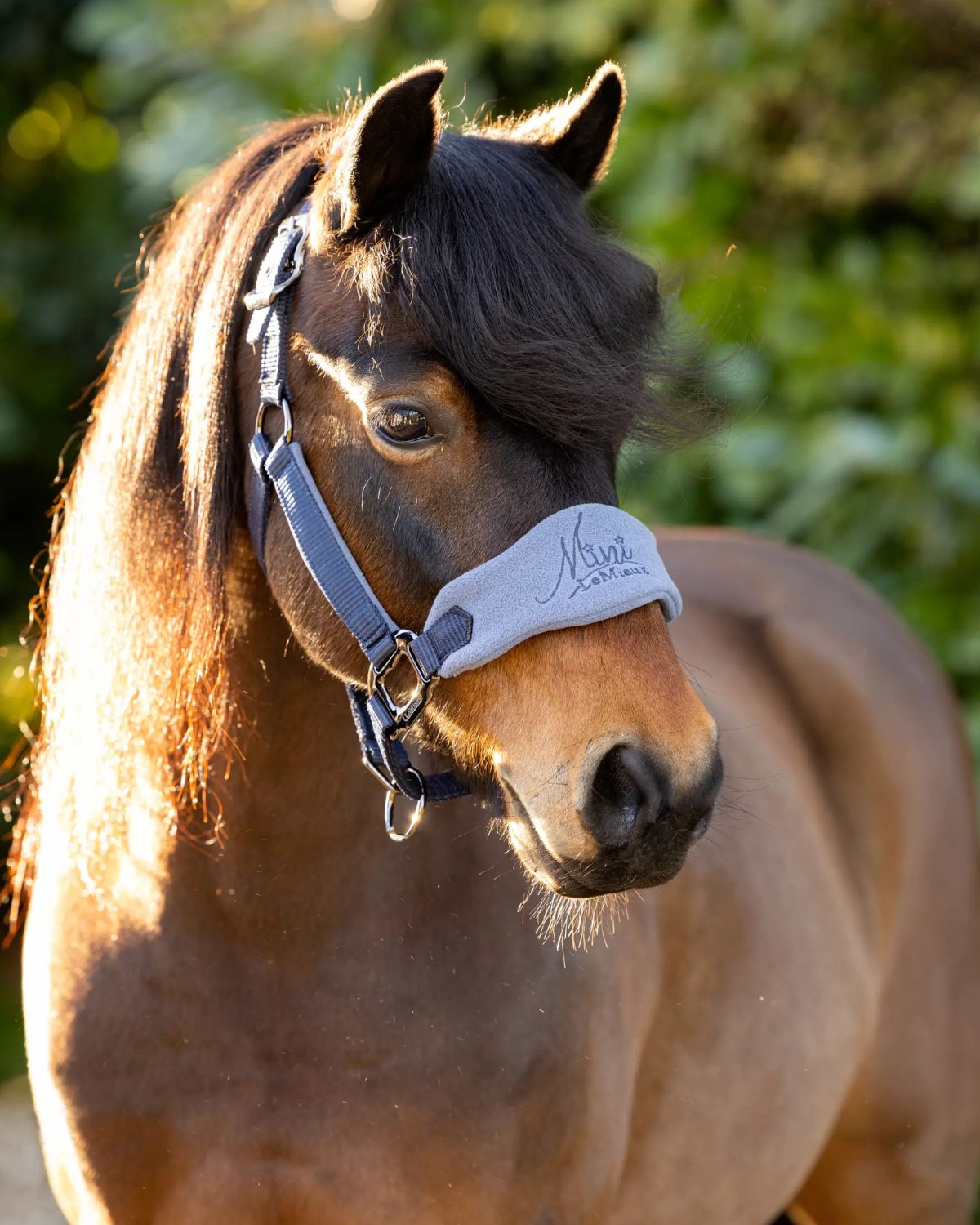 Pony wearing LEMIEUX MINI VOGUE HEADCOLLAR & LEADROPE INDIGO from Equiflair. Pony headcollar. Equine headwear.