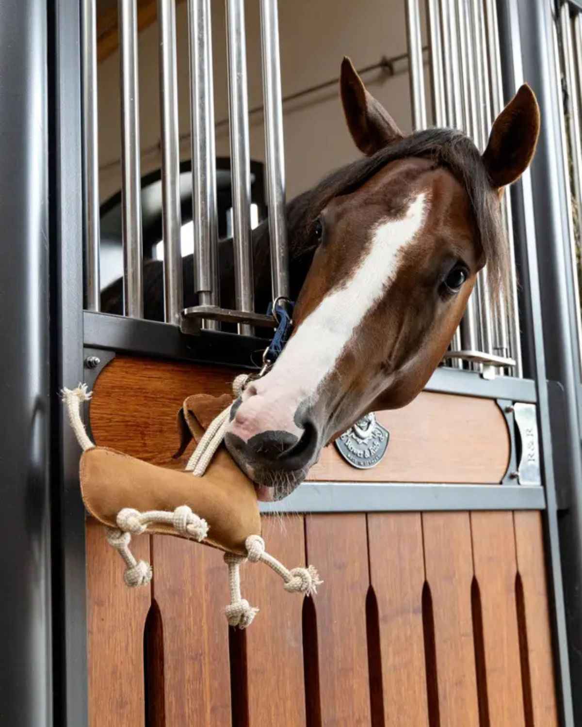 LeMieux Horse Toy Sausage Dog