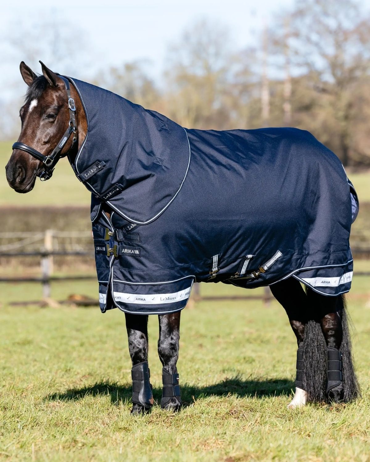 LeMieux Arika Storm - Tek Rug 200g Navy | Equiflair
