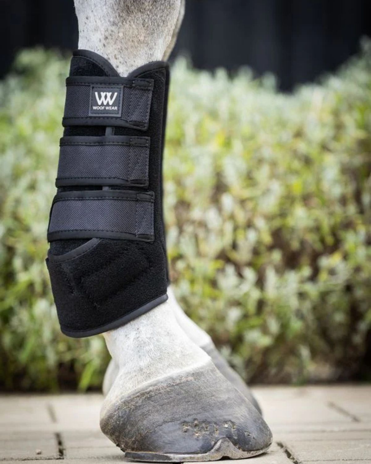 Woof Wear Training Wrap Black