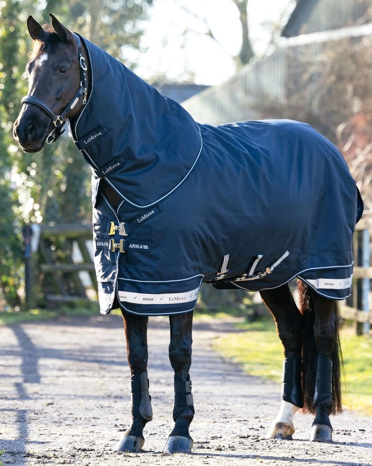 LeMieux Arika Storm - Tek Rug 100g Navy | Equiflair