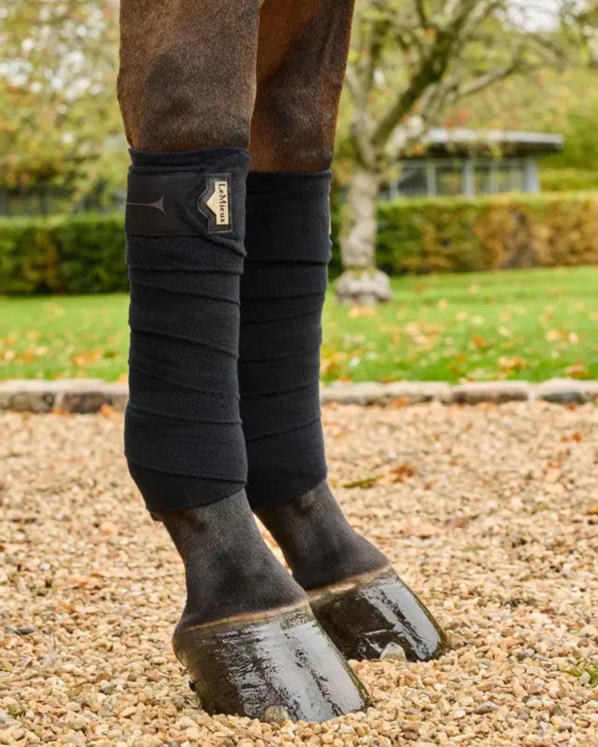 LeMieux Elevate Polo Bandages Black | Equiflair