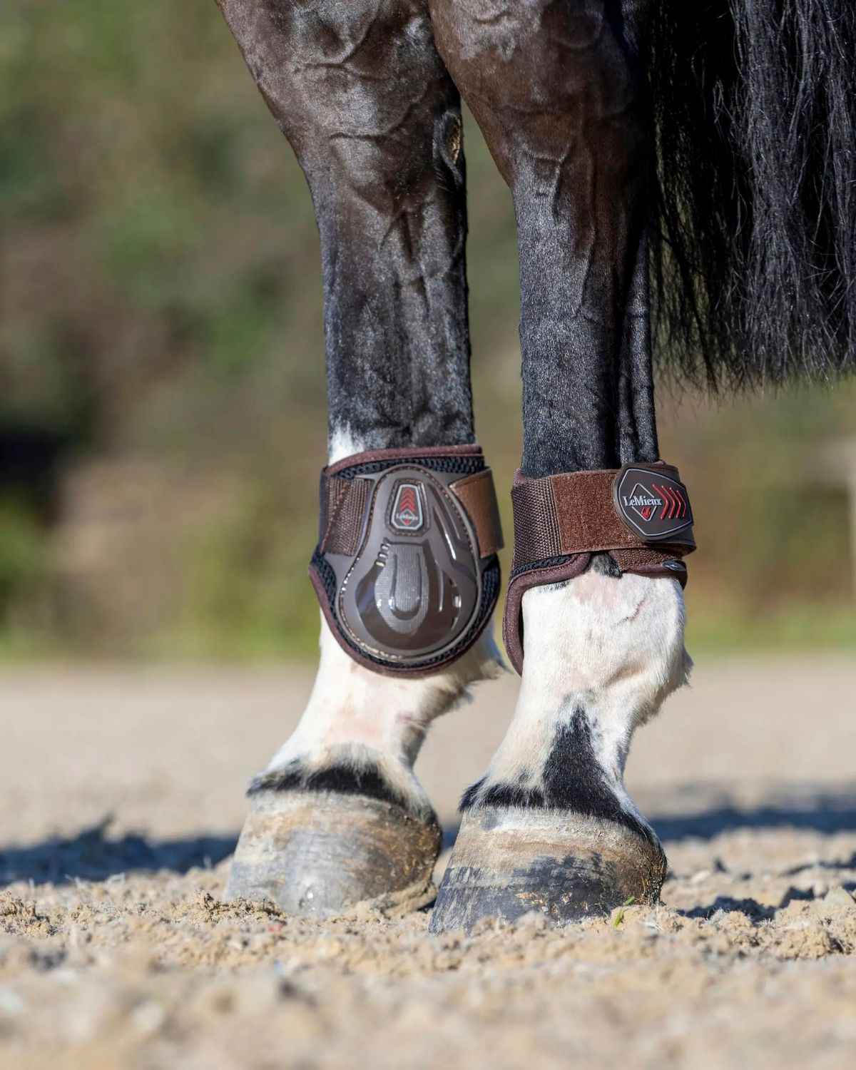 LeMieux Derby ProJump Fetlock Boot Brown