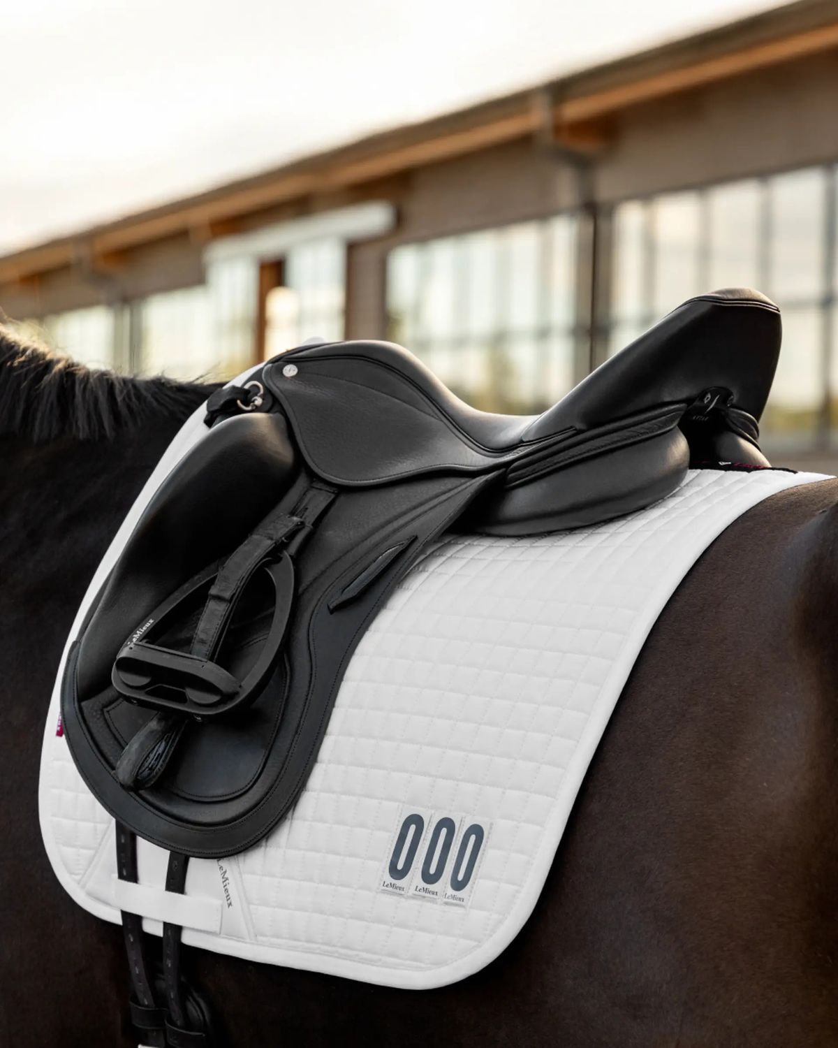 LeMieux Cotton Dressage Competition Square White | Equiflair