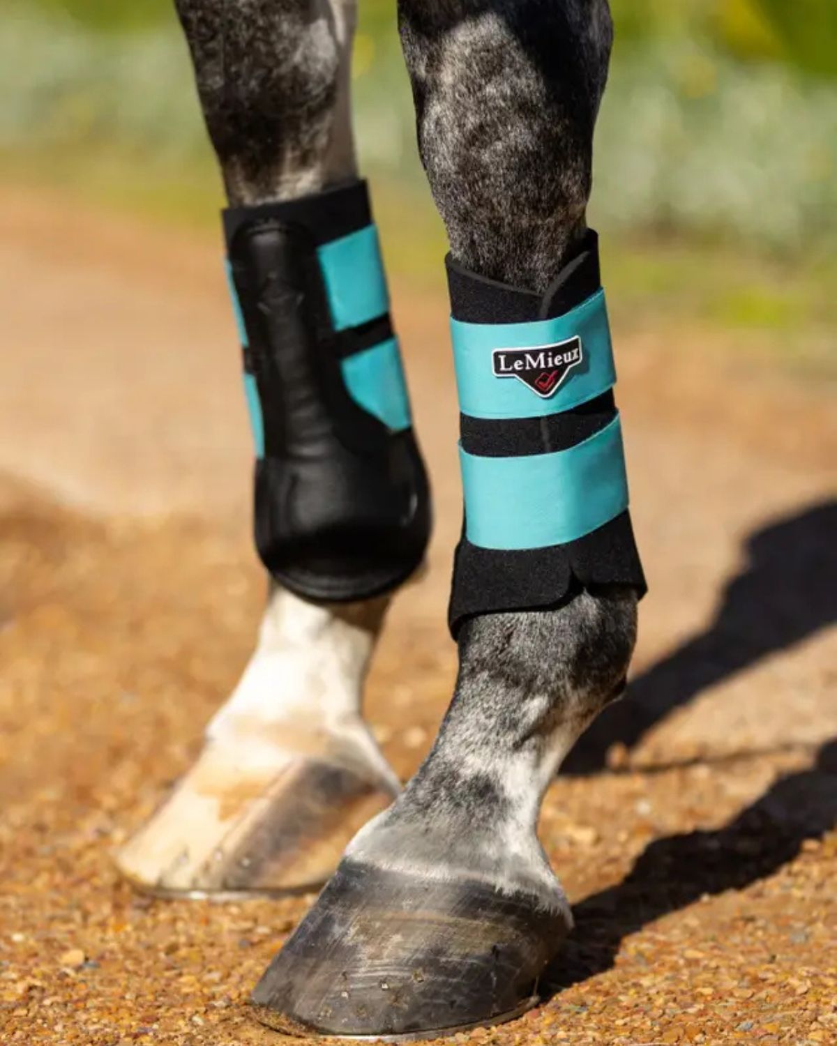 LeMieux Grafter Brushing Boot Azure