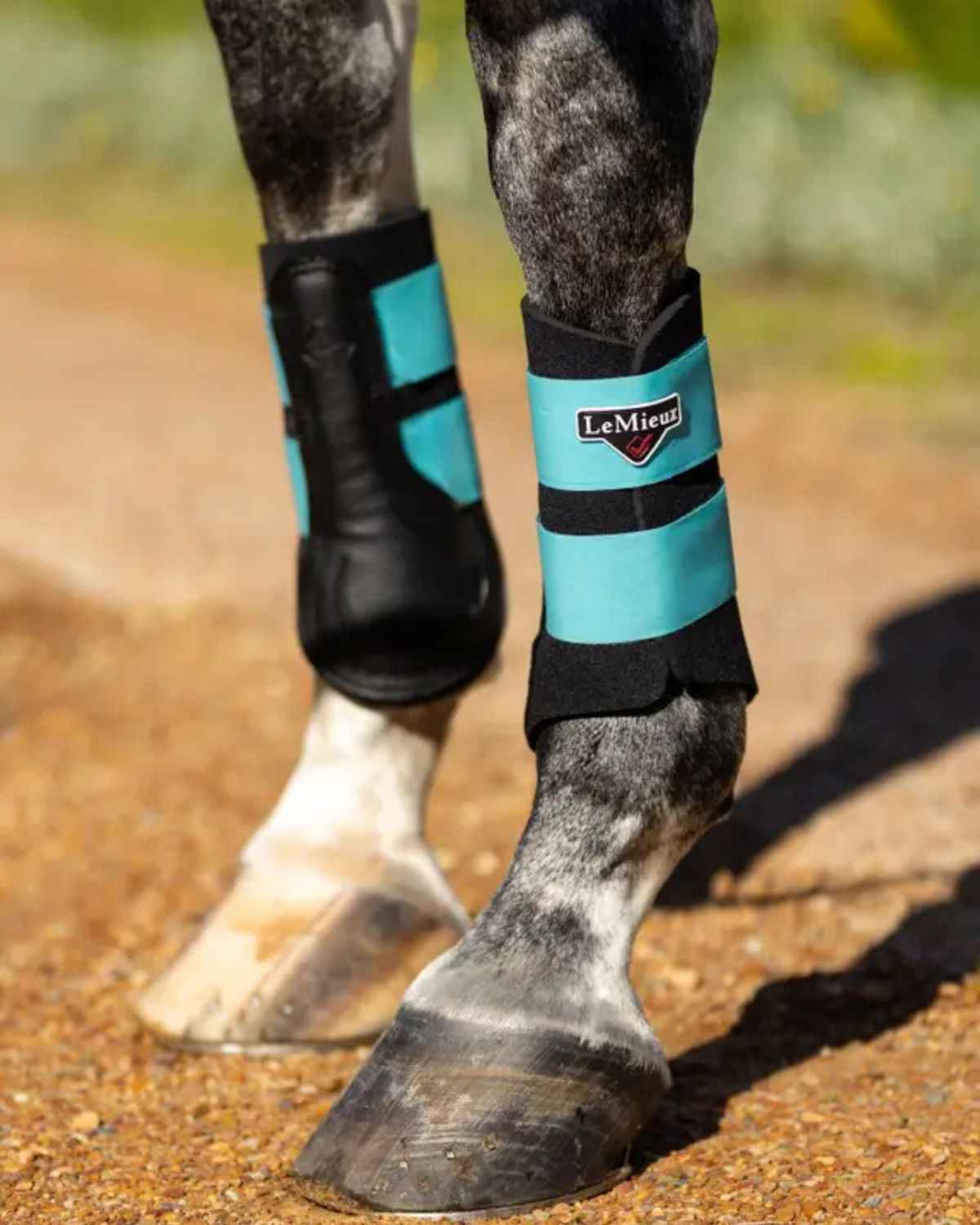 LeMieux Grafter Brushing Boot Azure