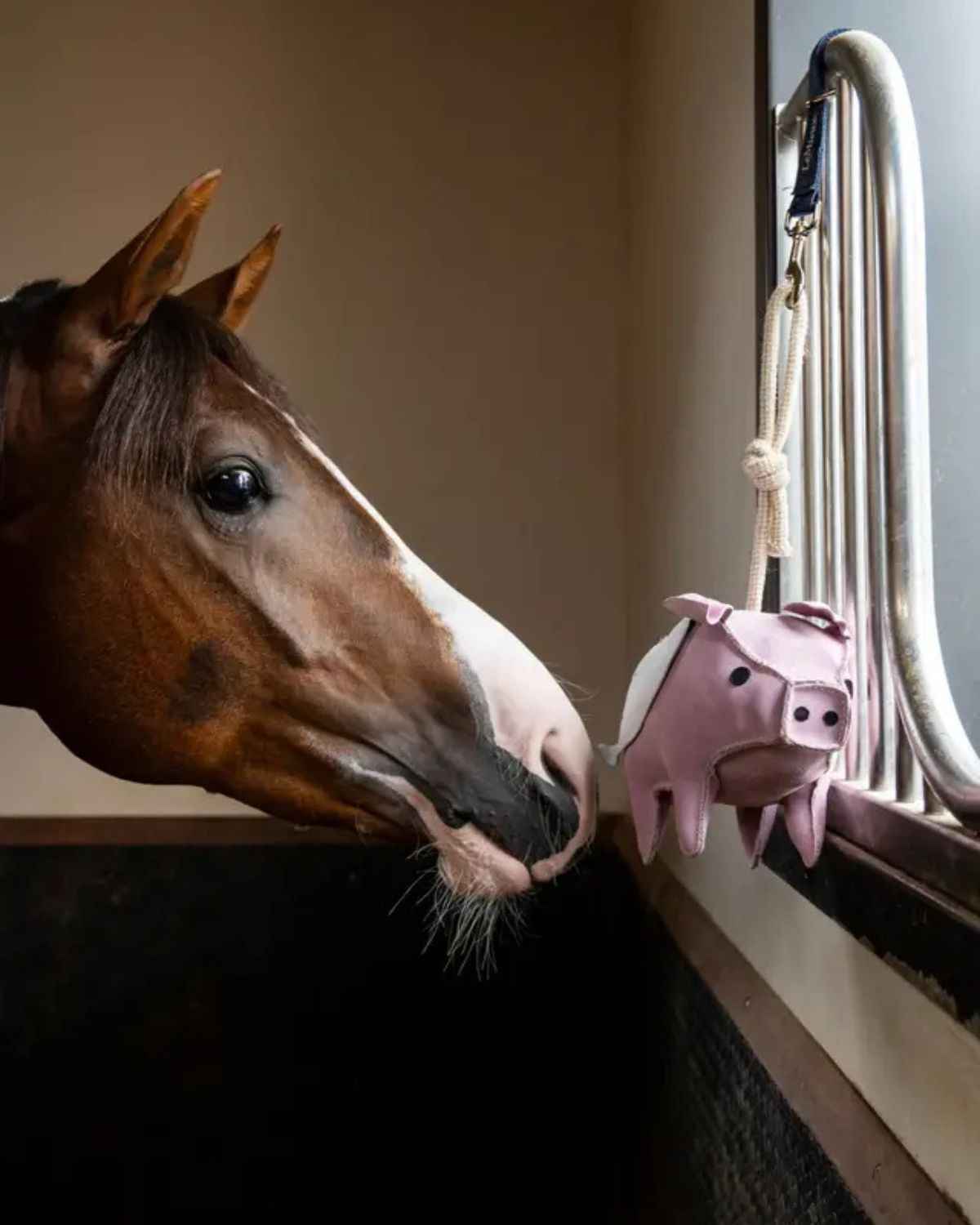 LeMieux Horse Toy Flying Pig