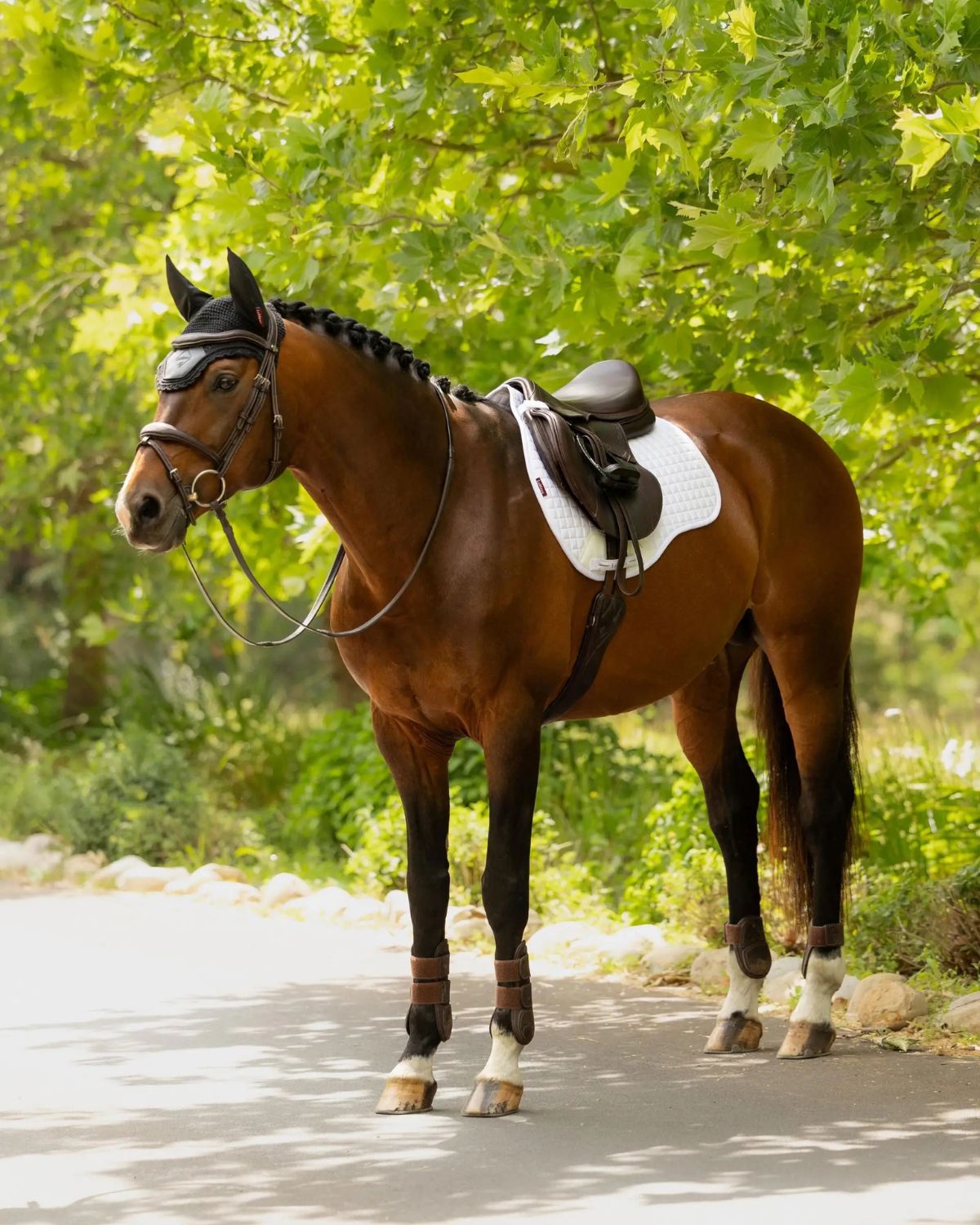 LeMieux Cotton GP Square (updated) White | Equiflair