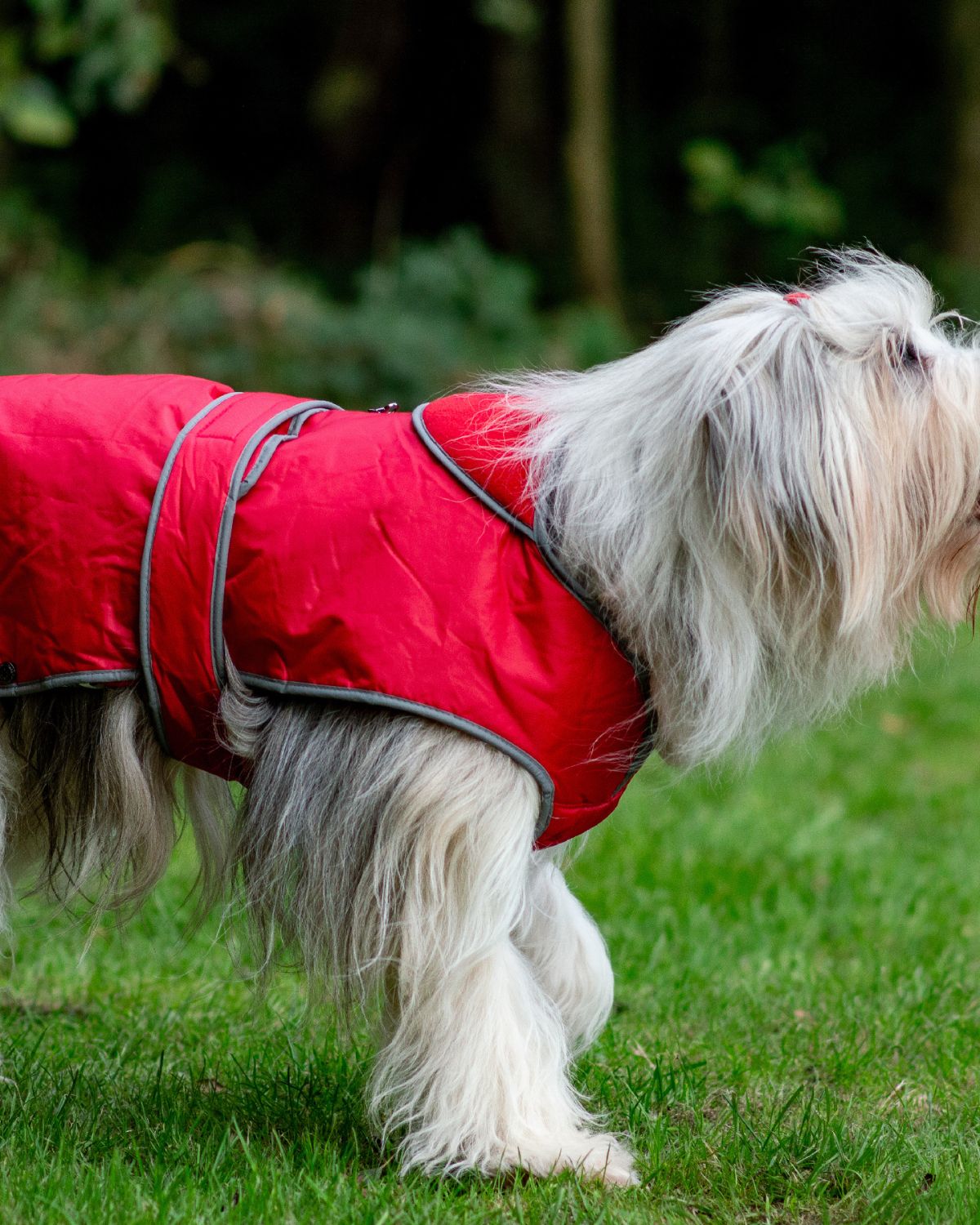 Ancol Stormguard Dog Coat Red