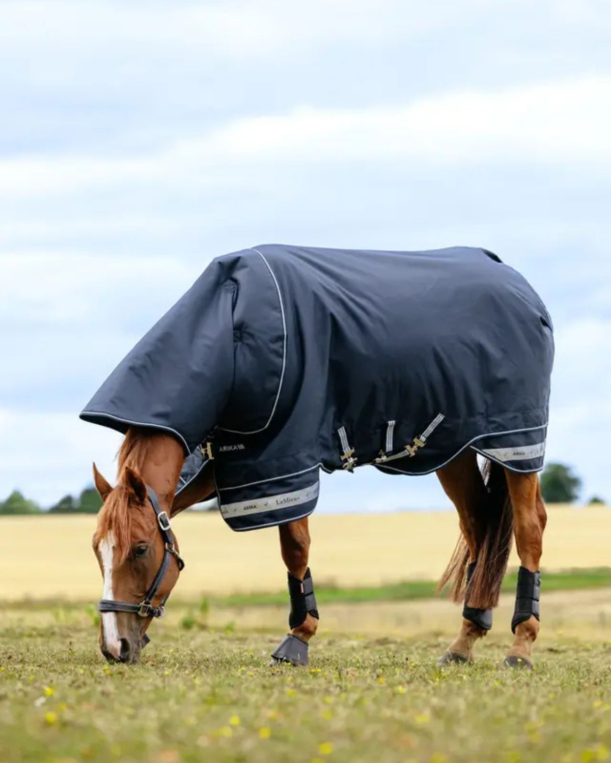 LeMieux Arika Storm - Tek Rug 50g Navy | Equiflair