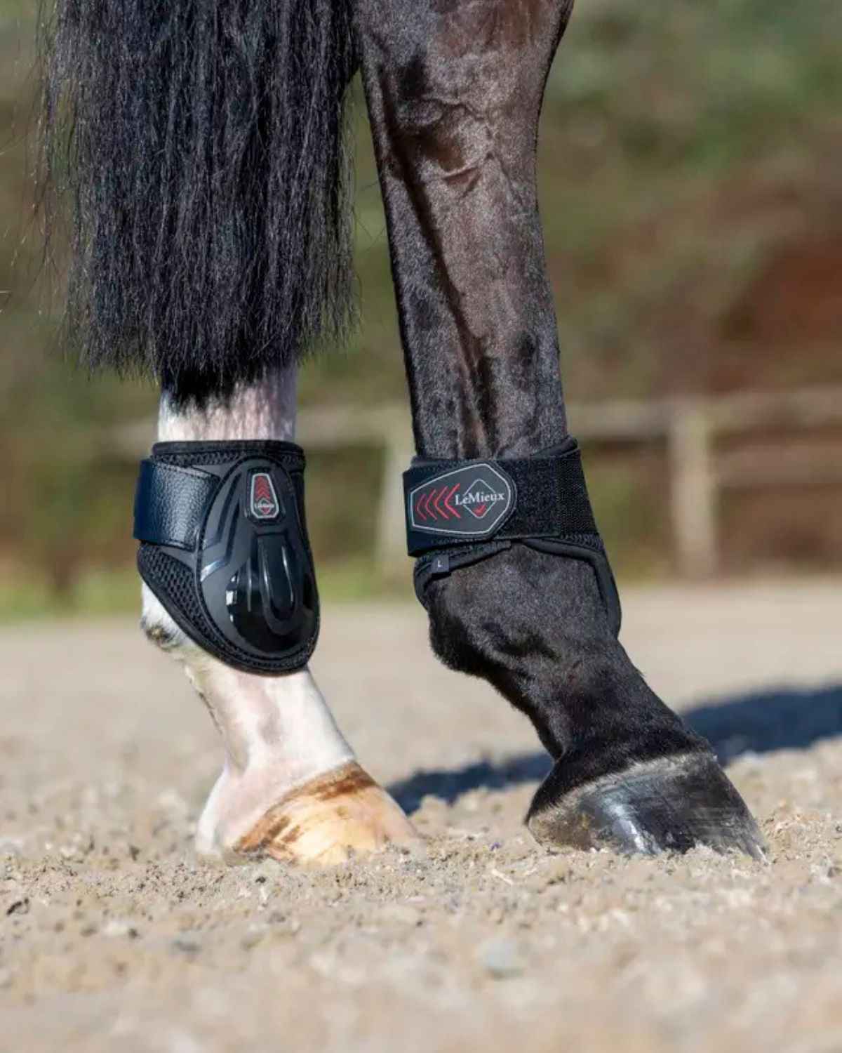 LeMieux Derby ProJump Fetlock Boot Black