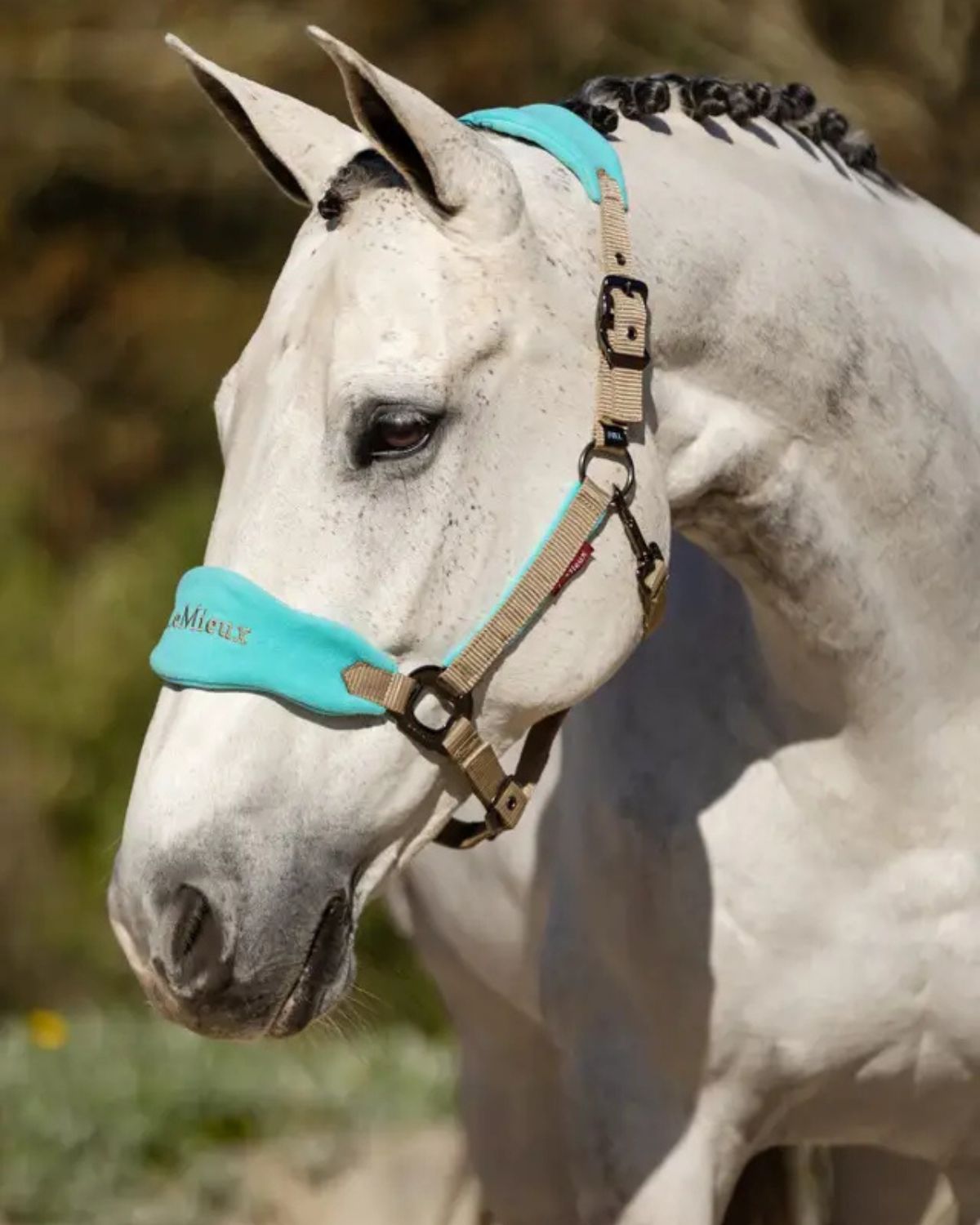 LeMieux Vogue Headcollar & Leadrope Azure