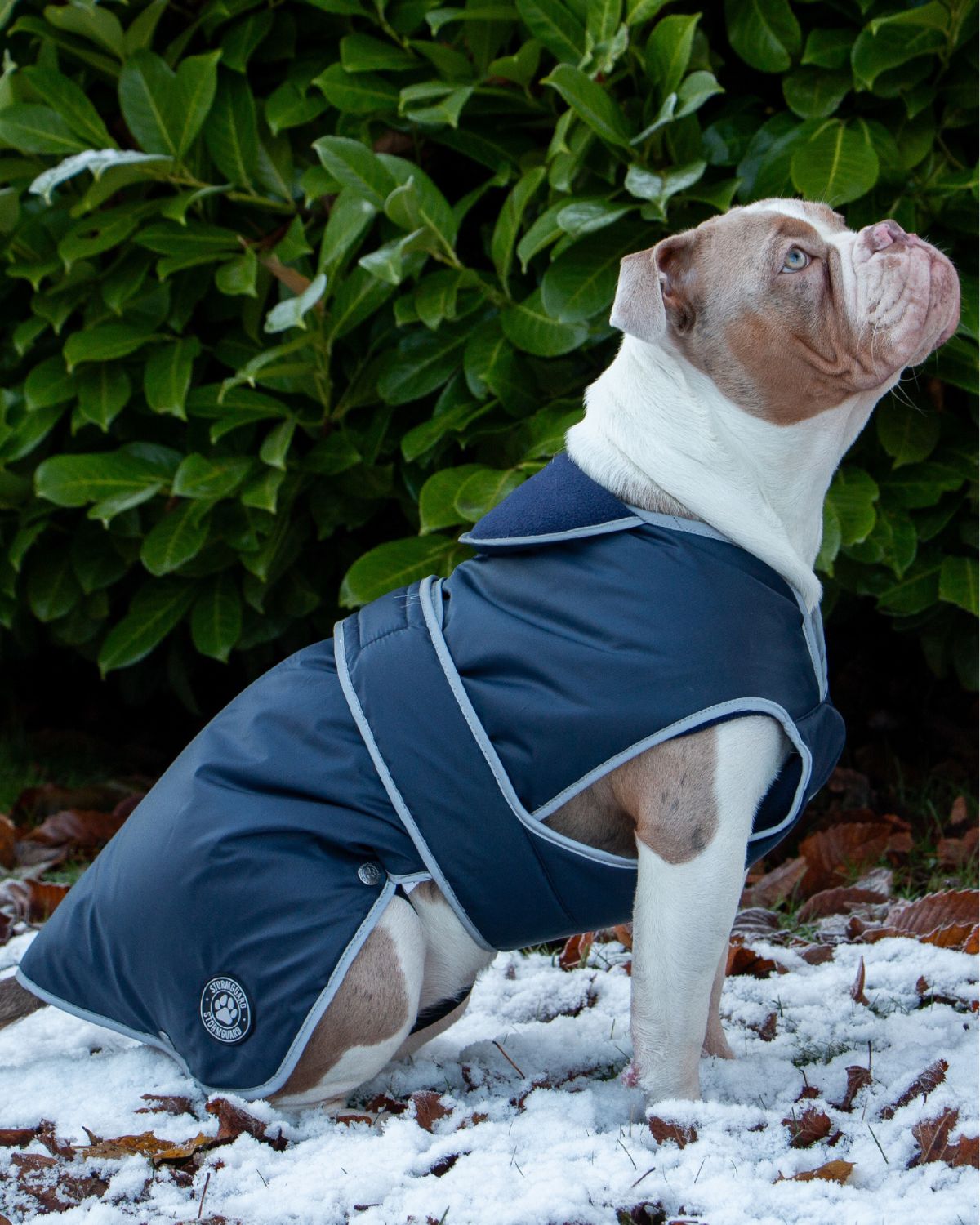 Ancol Stormguard Dog Coat Navy