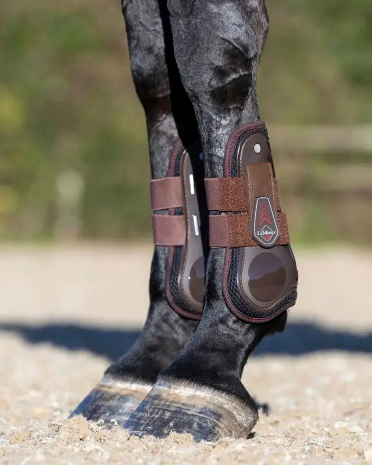 LEMIEUX Derby Projump Brown Tendon Boots for Horses | Equestrian Jumping Boots